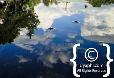 Botswana Scenery Pictures