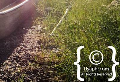 Botswana Scenery Pictures