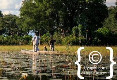 Botswana Scenery Pictures