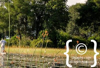 Botswana Scenery Pictures