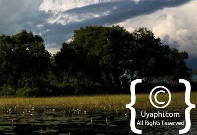 Photographs Of Botswana Scenery