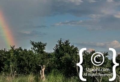 Photographs Of Botswana Scenery