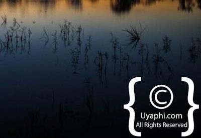 Photographs Of Botswana Scenery