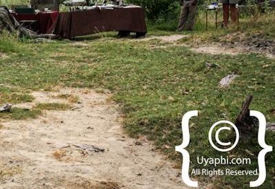 Photographs Of Botswana Scenery