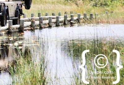 Photographs Of Botswana Scenery