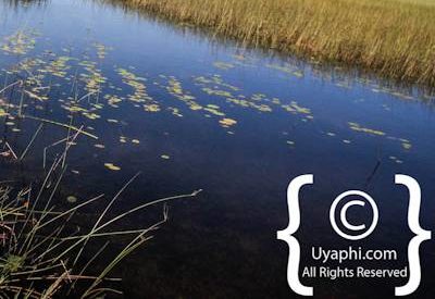 Photographs Of Botswana Scenery