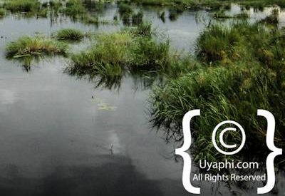 Photographs Of Botswana Scenery