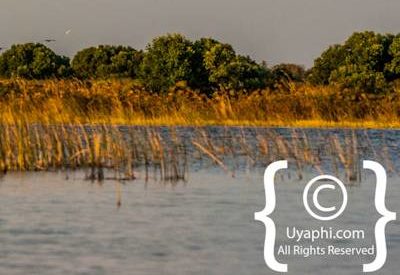 Botswana Scenery Pictures