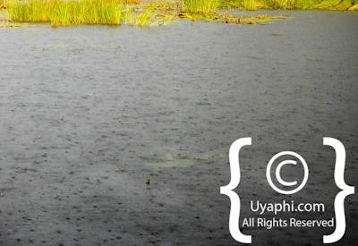 Photographs Of Botswana Scenery