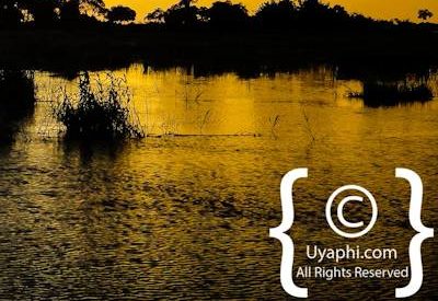 Photographs Of Botswana Scenery