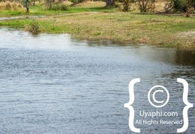 Botswana Scenery Pictures