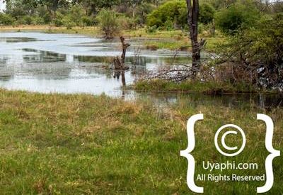 Botswana Scenery Pictures