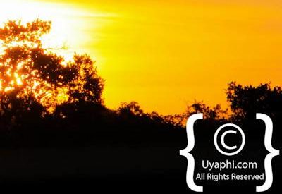 Botswana Scenery Pictures