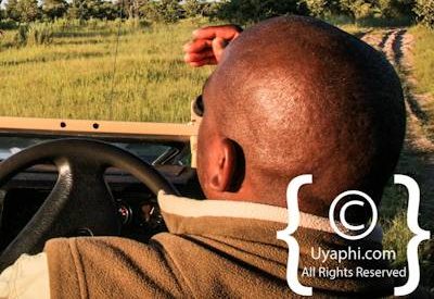 Botswana Scenery Pictures