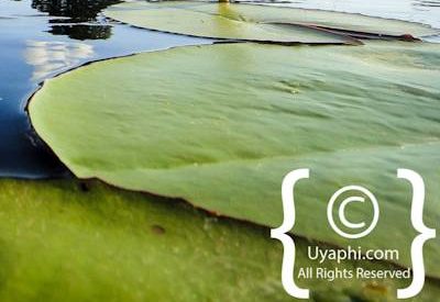 Botswana Scenery Pictures