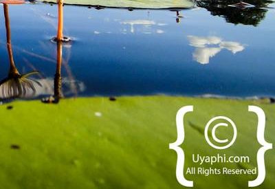 Botswana Scenery Pictures