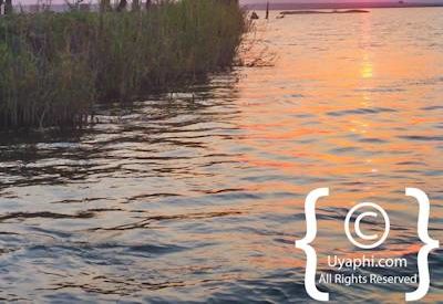 Chobe River Pictures