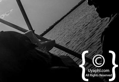 Chobe River Pictures