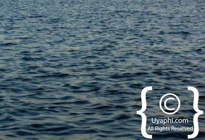 Photographs Of The Chobe River