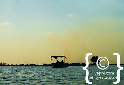 Chobe River Pictures