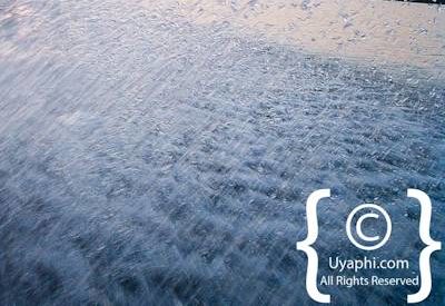 Photographs Of The Chobe River