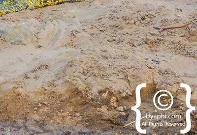 Chobe River Pictures