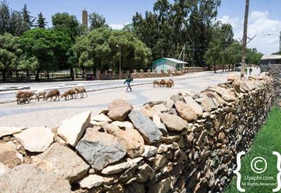 Axum Ethiopia Bajaji blue three-wheel motorised rickshaw town transport photography