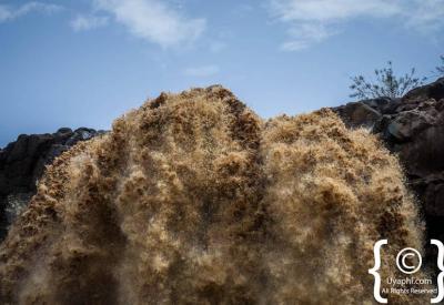 Blue Nile Falls Tis Isat Ethiopia competing Africa greatest waterfalls Uyaphi photography