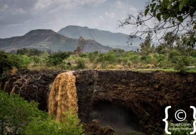 Blue Nile Falls Ethiopia birdlife kingfisher bee-eater waterfall banks photography