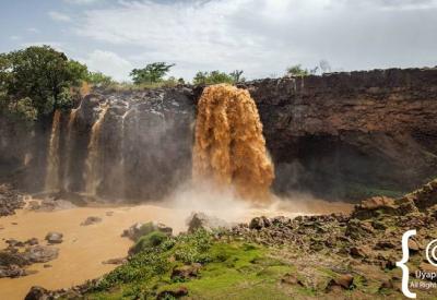 Blue Nile Falls Ethiopia birding riverbank endemic bird species Bahir Dar photography
