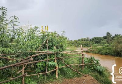 Blue Nile Falls Ethiopia birdlife kingfisher bee-eater waterfall banks photography