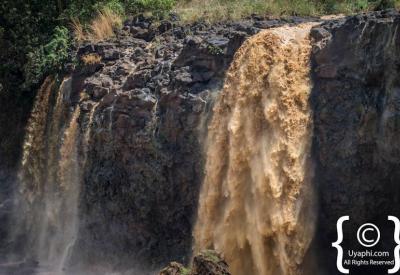 Blue Nile Falls Ethiopia birding riverbank endemic bird species Bahir Dar photography