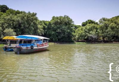 Entos Eyesu Monastery Lake Tana tropical forest canopy endemic birds Ethiopia photography