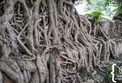 Fasilides Bath Gondar Ethiopia short drive Fasil Ghebbi UNESCO Gondar Northern Historical Route