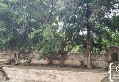 Fasilides Bath Gondar Ethiopia exterior stone wall towered gates compound photography