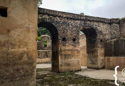 Fasilides Bath Gondar Ethiopia compound wall photographic opportunities heritage tourism photography