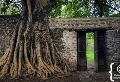 Fasilides Bath Gondar Ethiopia interior columns arched walkways 300-year architecture photography