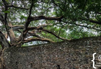 Fasilides Bath Gondar Ethiopia bathing palace detail masonry craftsmanship photography Uyaphi