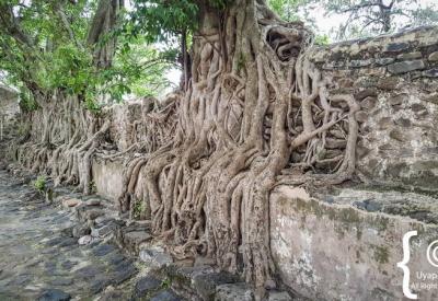 Fasilides Bath Gondar Ethiopia reflection still water palace architecture photography Uyaphi
