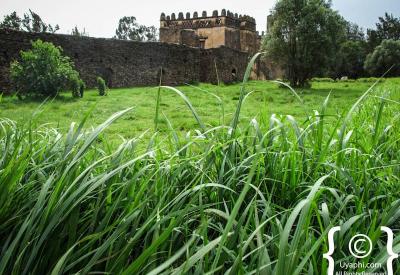 Fasil Ghebbi Gondar Ethiopia every turn photographic opportunity UNESCO World Heritage photography