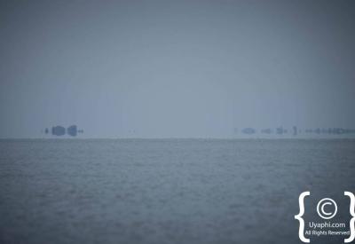 Lake Tana Ethiopia waterbird abundance birdwatcher paradise Bahir Dar photography