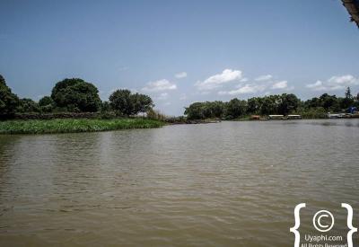 Lake Tana Ethiopia endemic fish 70 percent fish species highland lake photography