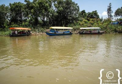 Lake Tana Ethiopia palms tropical vegetation shoreline Bahir Dar photography