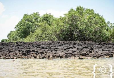 Lake Tana Ethiopia waterbird abundance birdwatcher paradise Bahir Dar photography