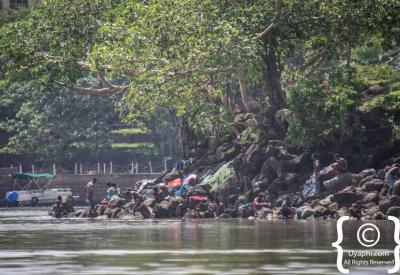 Lake Tana Ethiopia shoreline hippos water plants wetland Bahir Dar photography