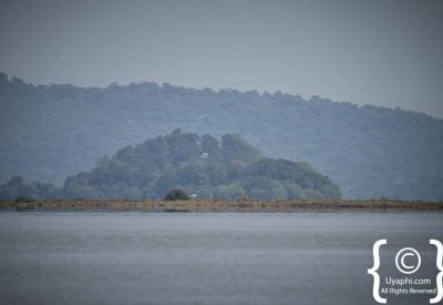 Lake Tana pelican pink-backed great white birdlife Bahir Dar Ethiopia photography