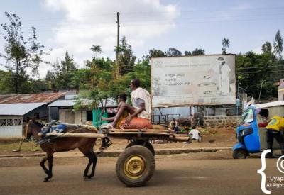Ethiopian market vendor Gondar traditional goods Northern Historical Route photography