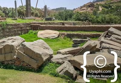 Axum Stelae Field