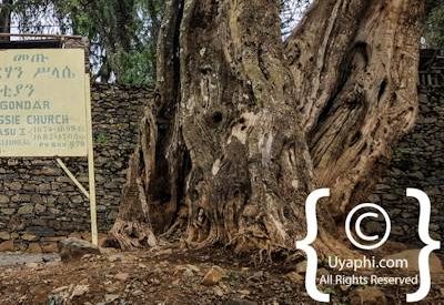 Debre Birhan Selassie Church