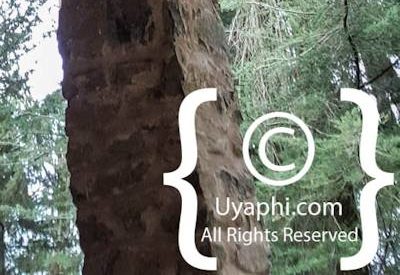 Church Of Debre Birhan Selassie